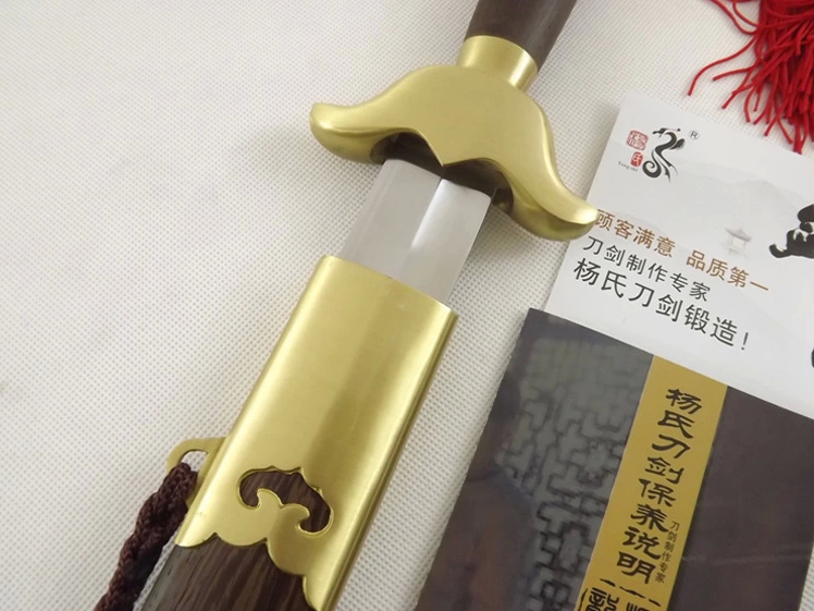 Chinese Tai Chi sword